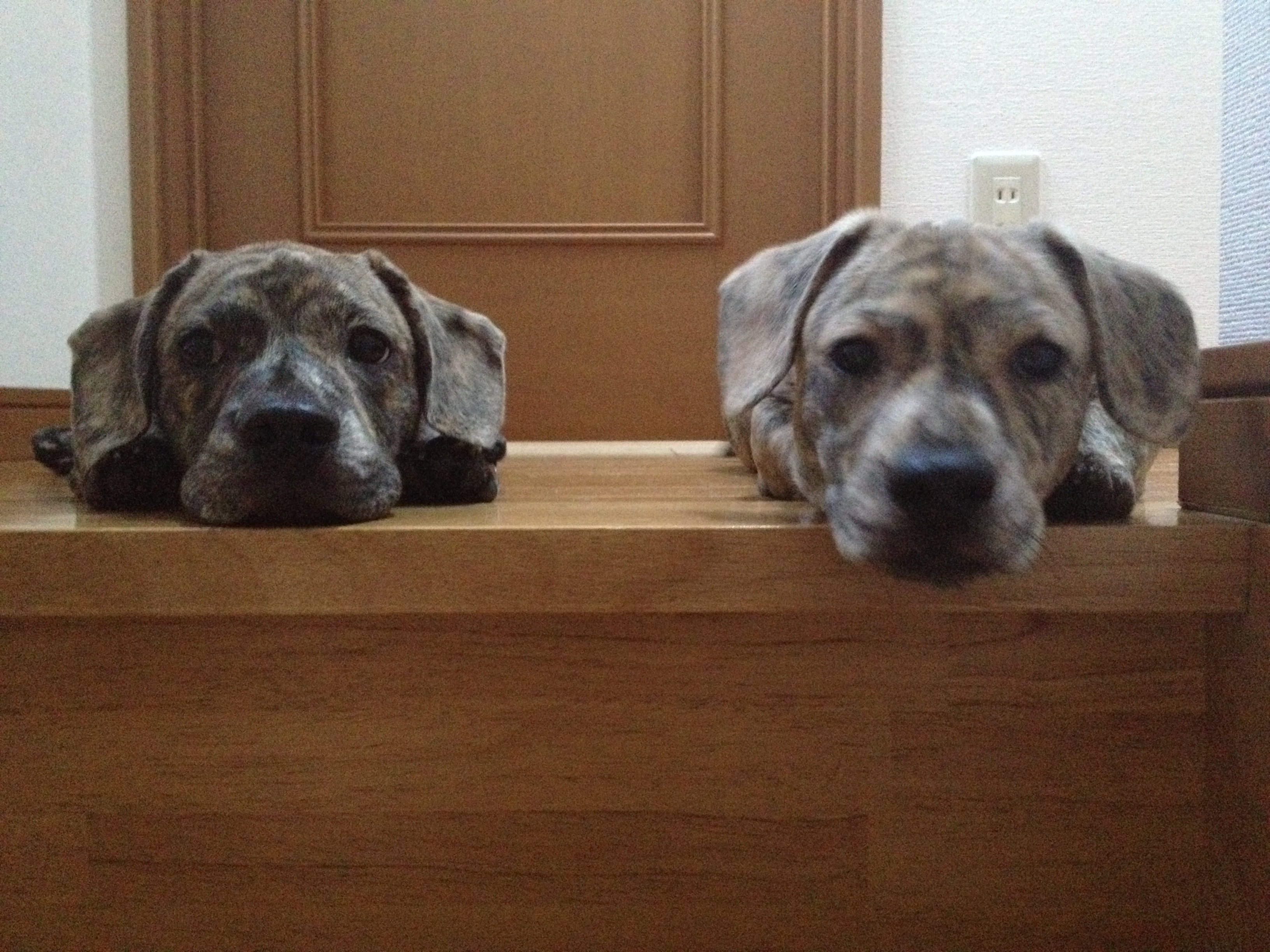 �K�i���牺����Ȃ�